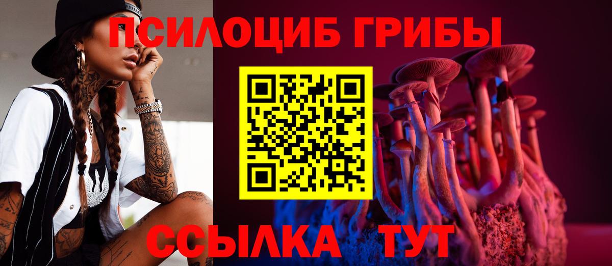 Галлюциногенные грибы GOLDEN TEACHER  Галлюциногенные грибы MAGIC MUSHROOMS  Вход с VPN  Шатура 